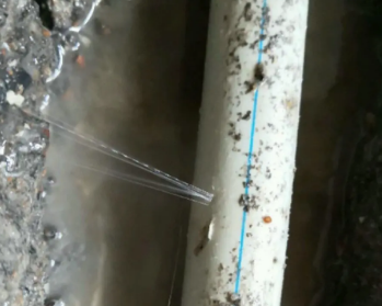 夹江卫生间测漏水多少钱